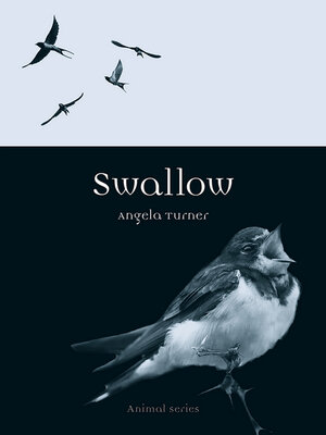 cover image of Swallow
